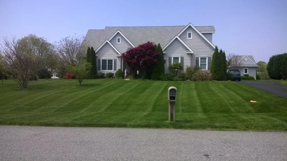 Expert landscaping services in Millsboro, DE by Bowden's Lawn and Landscape Service