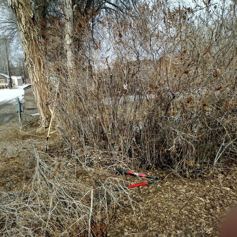 Affordable yard maintenance for residential properties in Basin, WY by Bowden's Lawn Care