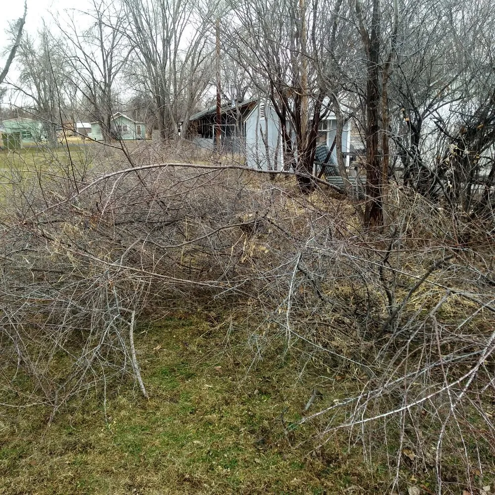 Custom yard maintenance in Basin, WY by Bowden's Lawn Care