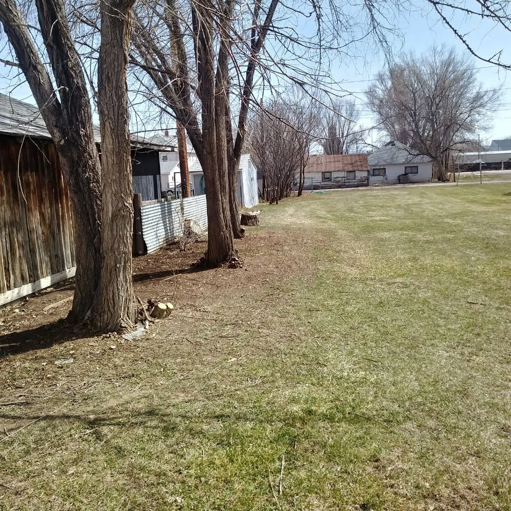 Local landscaping services for homes in Basin, WY by Bowden's Lawn Care