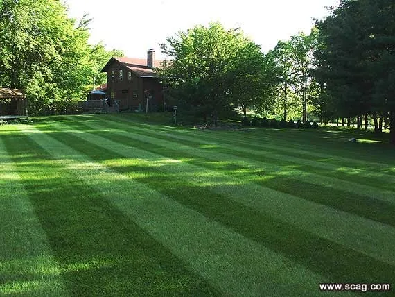 Trusted residential landscaping for year-round maintenance across Loveland, CO - Bowens - Loveland Lawn Care