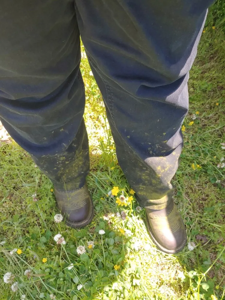 Local lawn mowing service experts serving Paris, TN - Bowen's Lawn Service