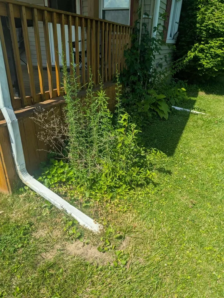 Local landscape design in Rochester, IN - Bower lawn care