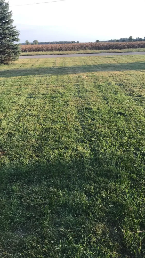 Expert landscape installation in Rochester, IN - Bower lawn care