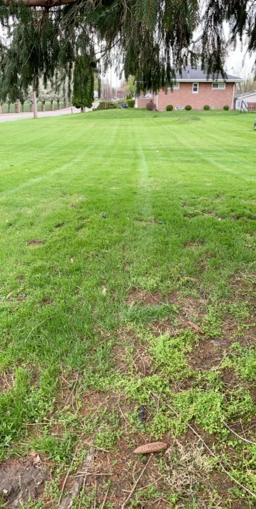 Expert yard maintenance in Rochester, IN - Bower lawn care