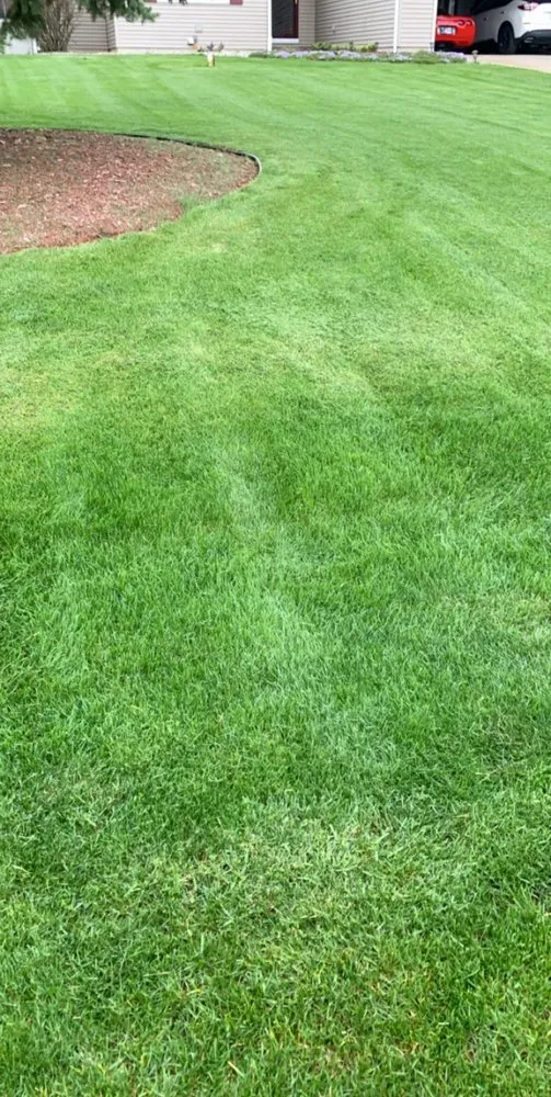 Expert yard maintenance experts serving Rochester, IN - Bower lawn care