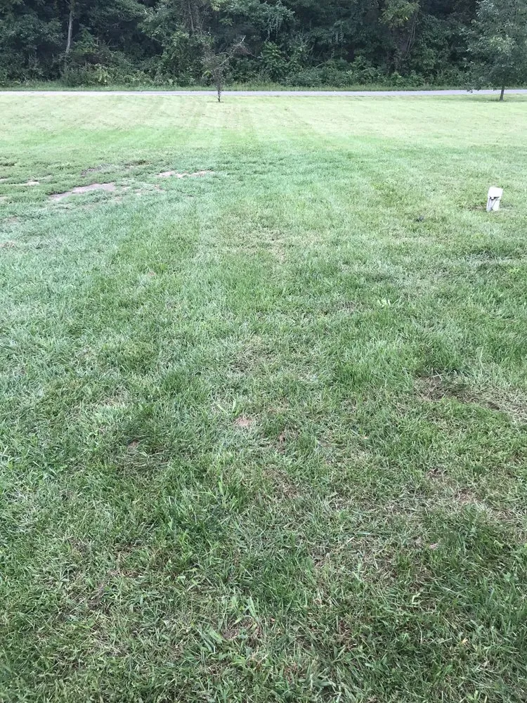 Trusted yard maintenance for beautiful yards in Rochester, IN by Bower lawn care