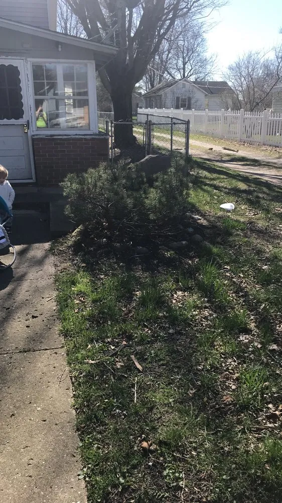 Custom yard cleanup service for homes in Rochester, IN by Bower lawn care