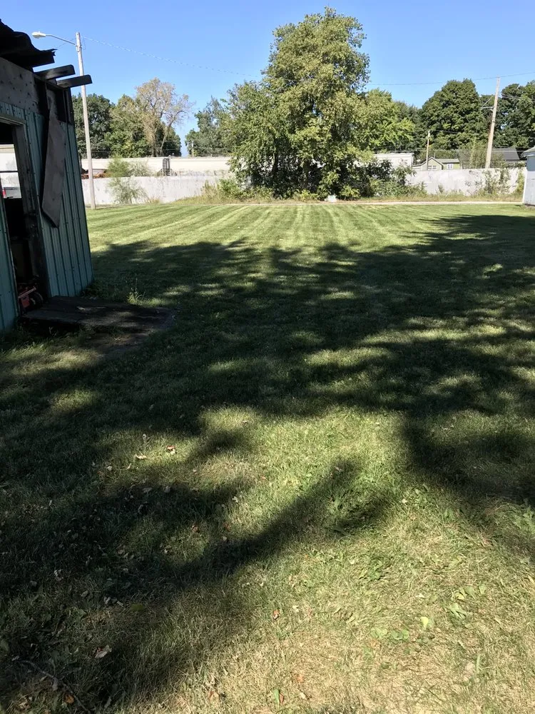 Local yard cleanup service for outdoor upgrades in Rochester, IN by Bower lawn care