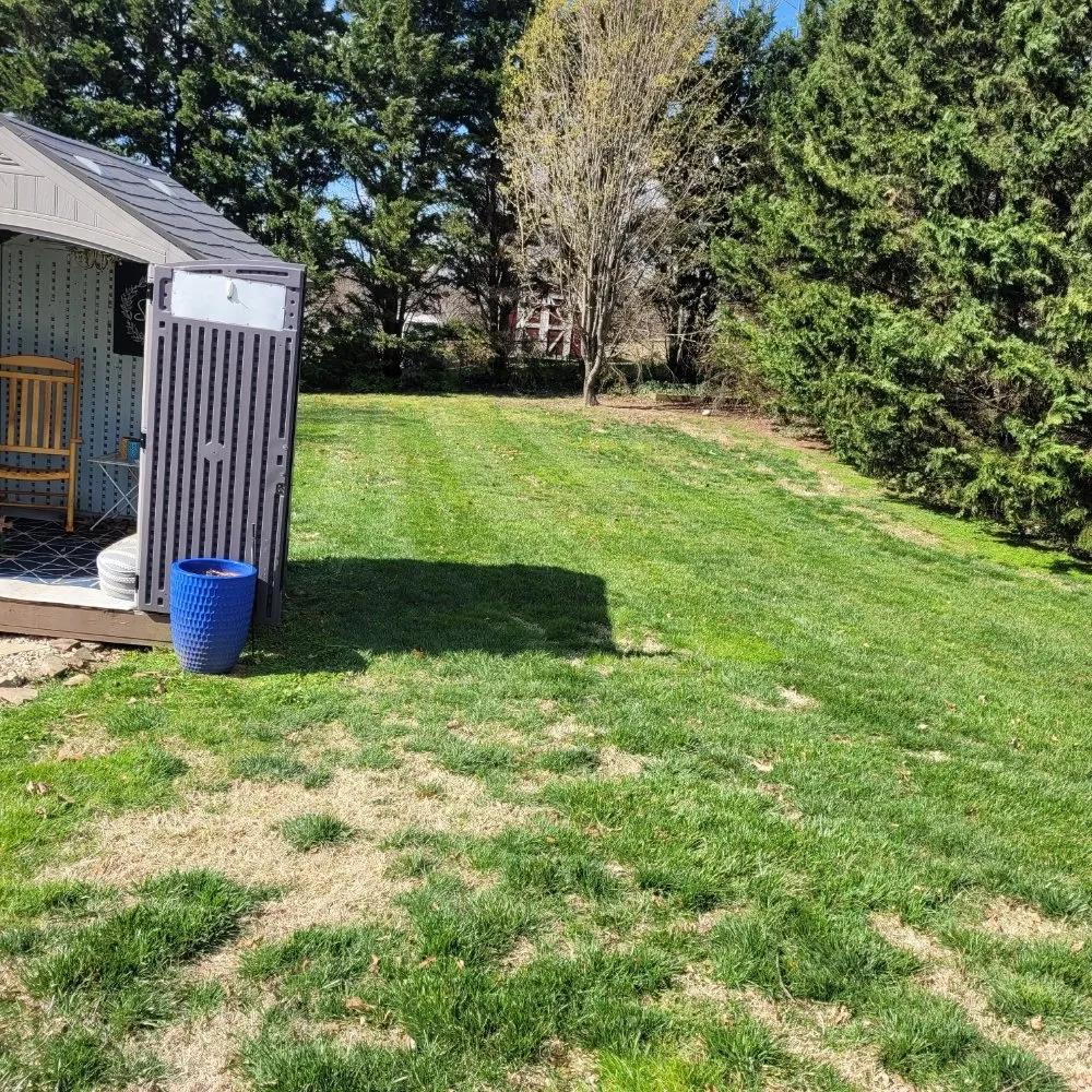 Top-rated yard maintenance in Morristown, TN by Bower Lawn Care Service