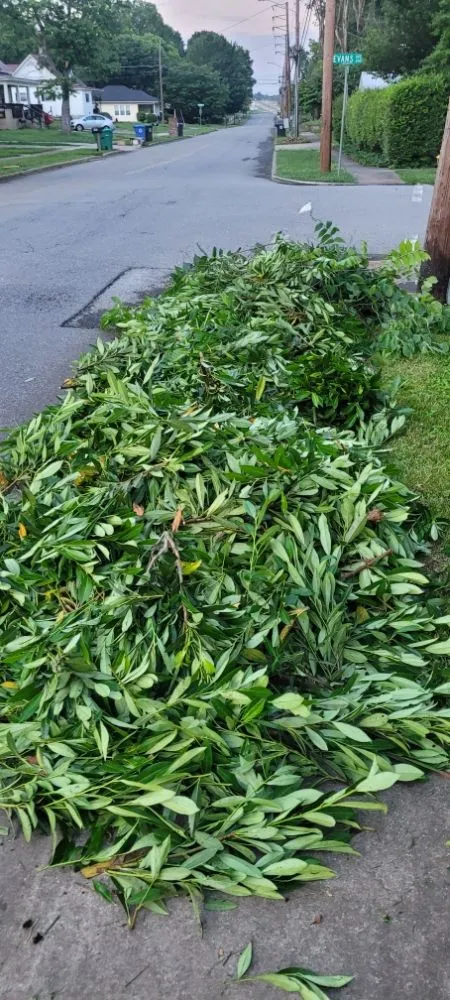 Trusted landscaping services for year-round maintenance in Morristown, TN by Bower Lawn Care Service