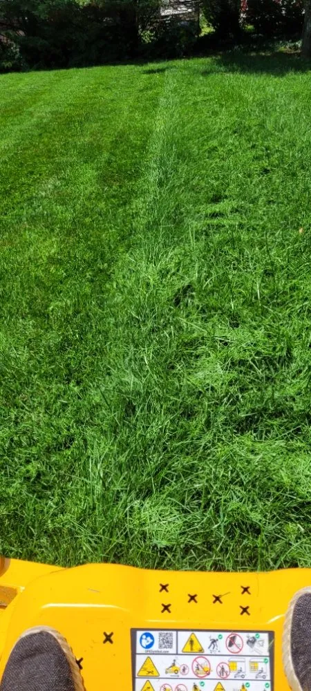 Local residential landscaping near you in Morristown, TN by Bower Lawn Care Service