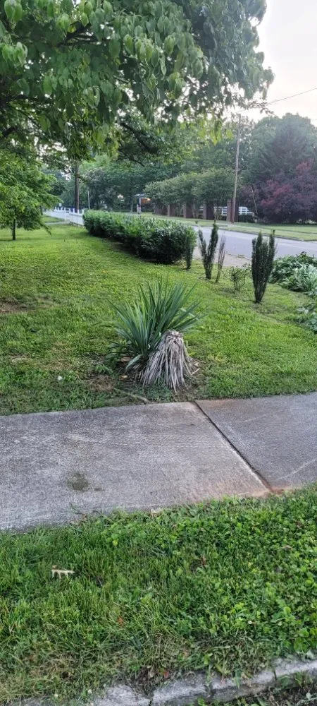 Top-rated landscape design near you across Morristown, TN - Bower Lawn Care Service