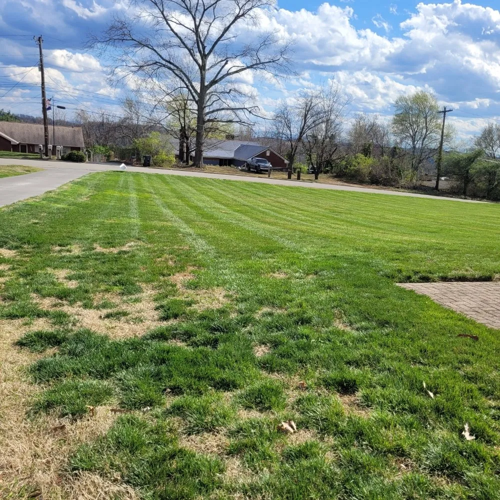Professional outdoor landscaping experts serving Morristown, TN - Bower Lawn Care Service