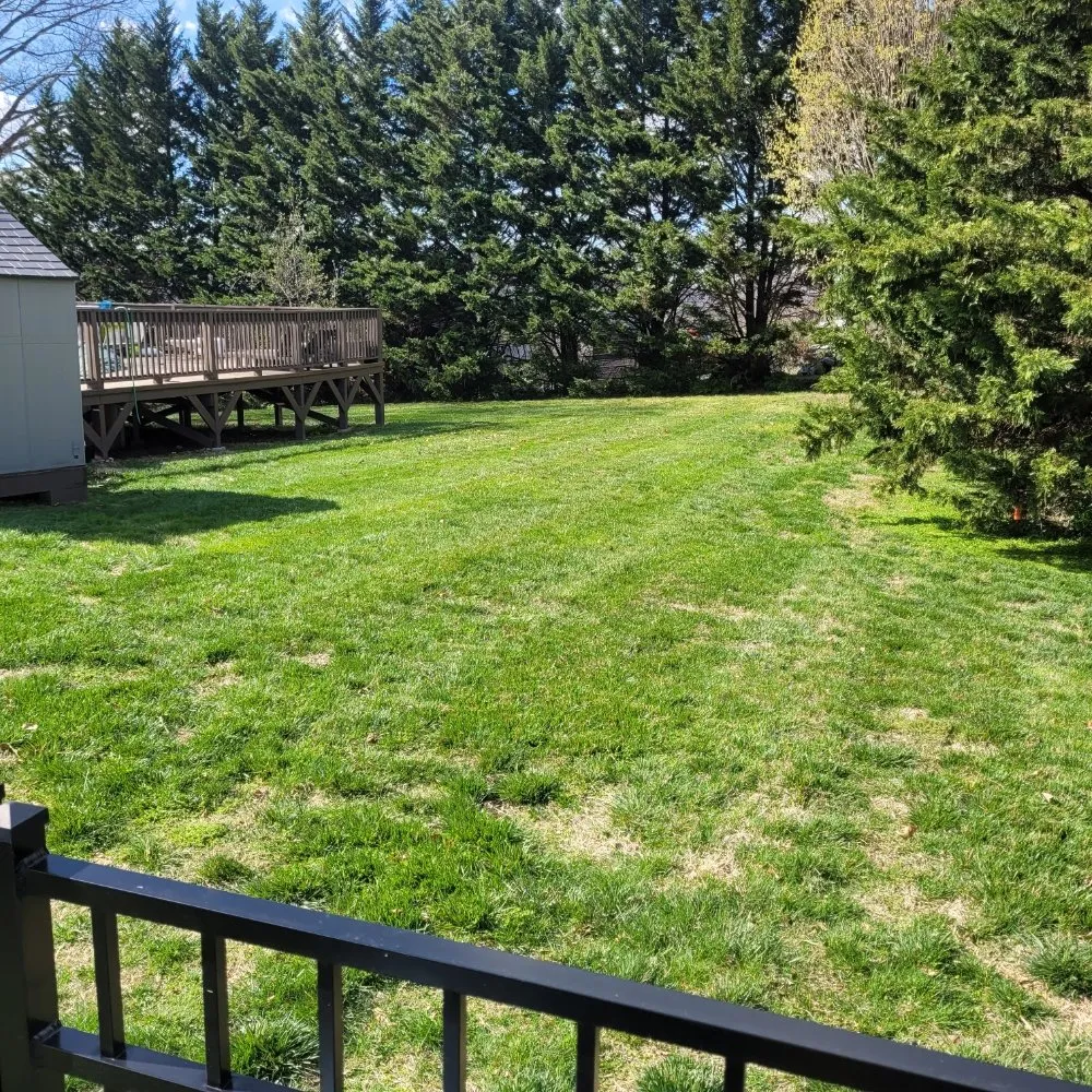 Reliable lawn mowing service in Morristown, TN by Bower Lawn Care Service