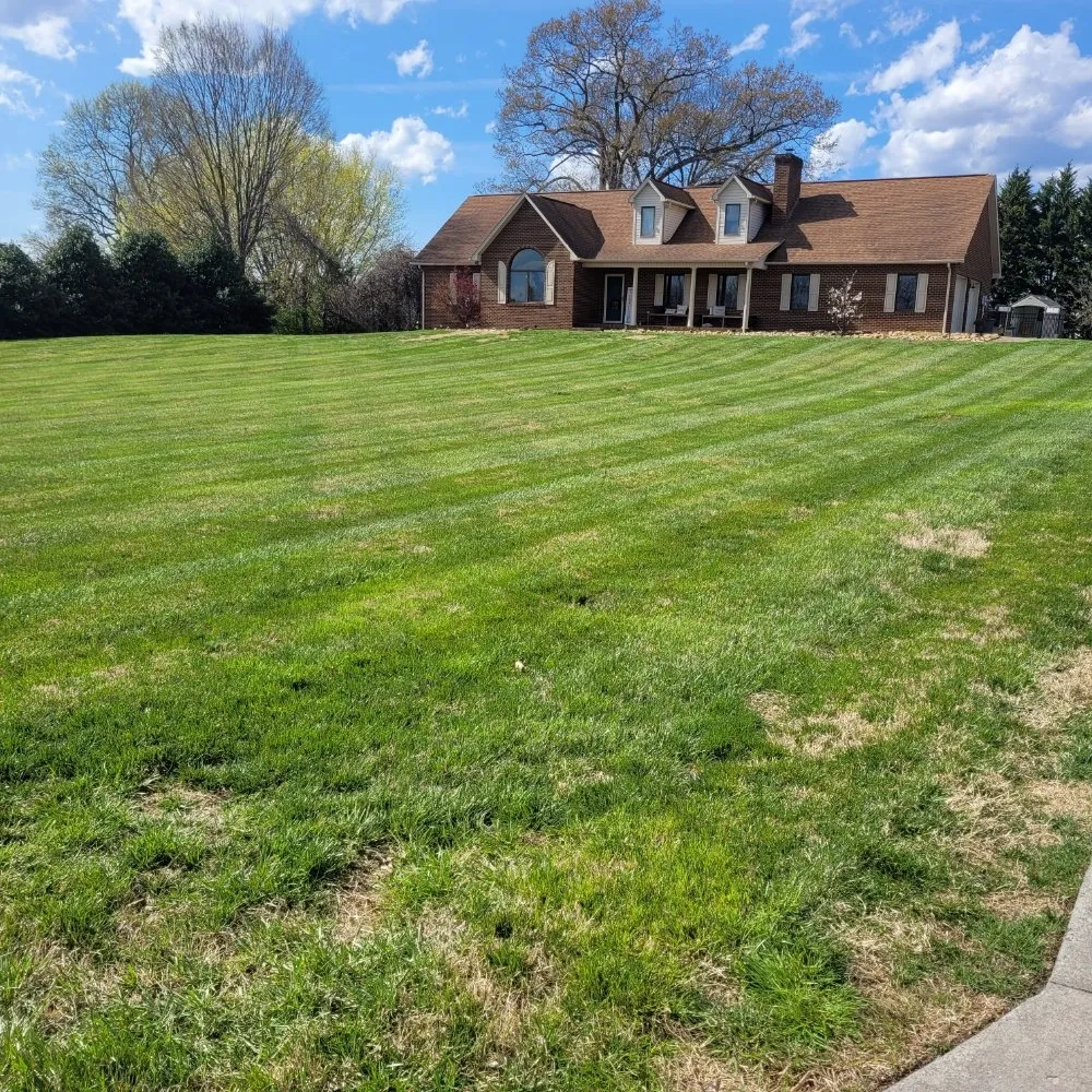 Expert yard maintenance for year-round maintenance in Morristown, TN by Bower Lawn Care Service