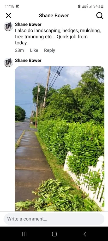 Professional lawn care service for beautiful yards in Morristown, TN by Bower Lawn Care Service