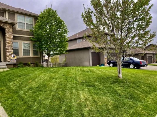 Bowerman Lawncare Logo