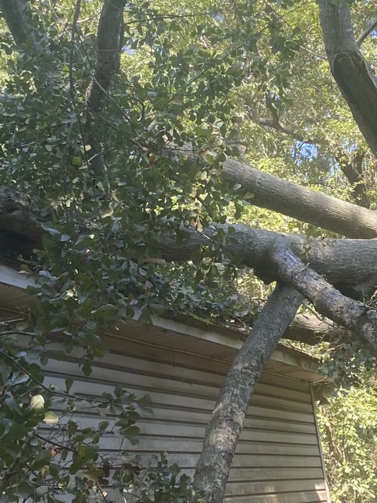 Professional residential landscaping in Statesboro, GA by Bowerman Removal Service