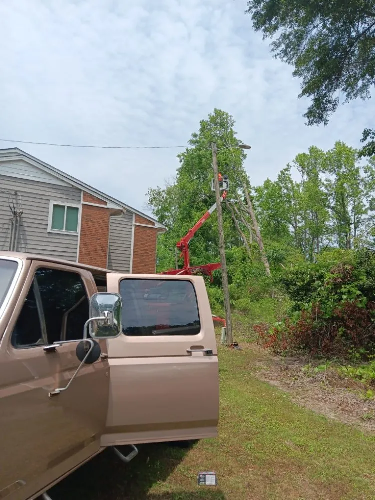 Top-rated yard maintenance for residential properties in Statesboro, GA by Bowerman Removal Service