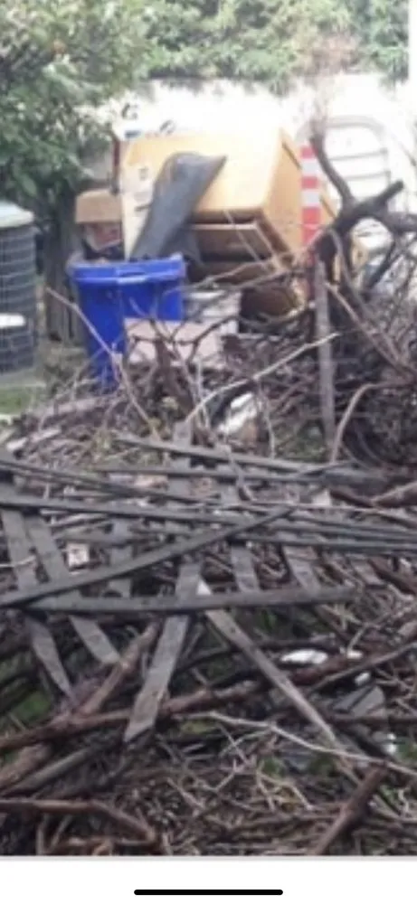 Top-rated residential landscaping experts serving Statesboro, GA - Bowerman Removal Service