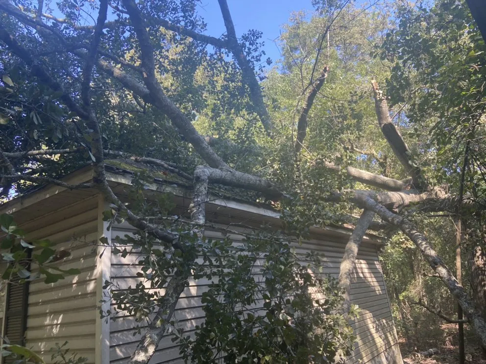 Expert outdoor landscaping in Statesboro, GA - Bowerman Removal Service