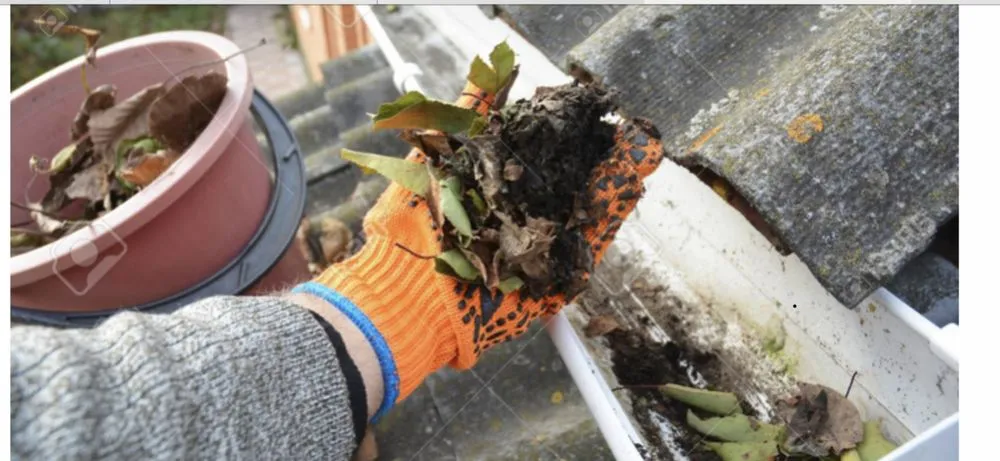 Trusted garden landscaping in Statesboro, GA - Bowerman Removal Service