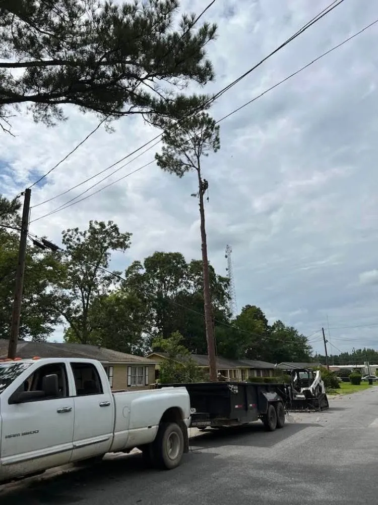 Trusted garden landscaping in Statesboro, GA - Bowerman Removal Service