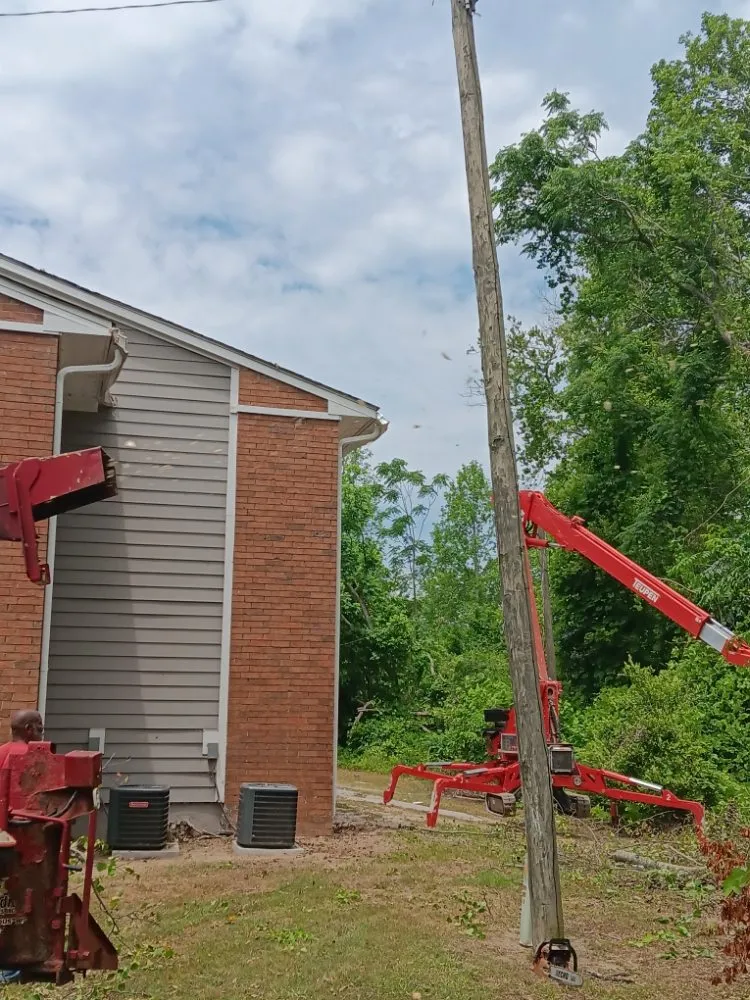 Affordable landscaping services in Statesboro, GA by Bowerman Removal Service