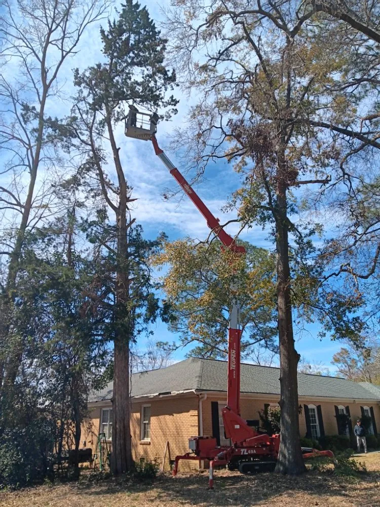 Reliable residential landscaping in Statesboro, GA - Bowerman Removal Service