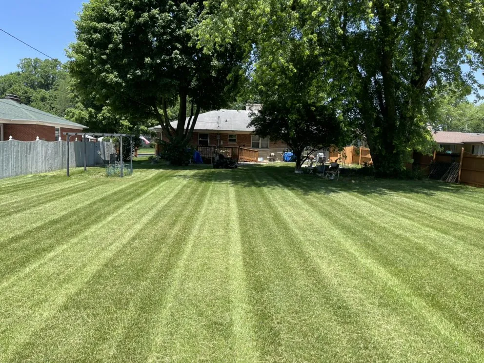 Top-rated yard cleanup service in Indianapolis, IN - Bowers Affordable Lawncare