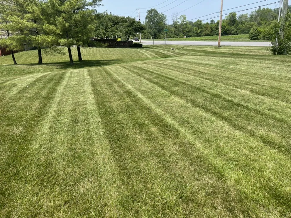 Custom yard cleanup service in Indianapolis, IN by Bowers Affordable Lawncare