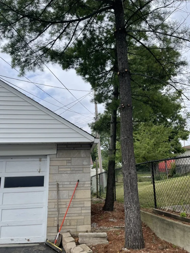 Affordable yard cleanup service experts serving Indianapolis, IN - Bowers Affordable Lawncare