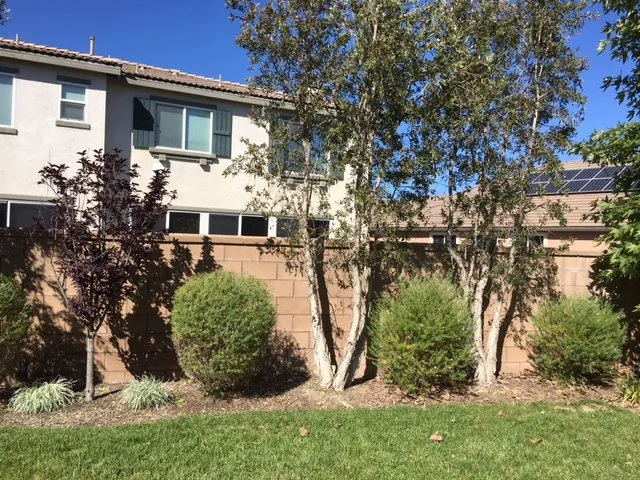 Custom lawn care service in Murrieta, CA by Bowers Landscape Services