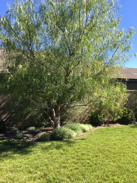 Expert outdoor landscaping experts serving Murrieta, CA - Bowers Landscape Services