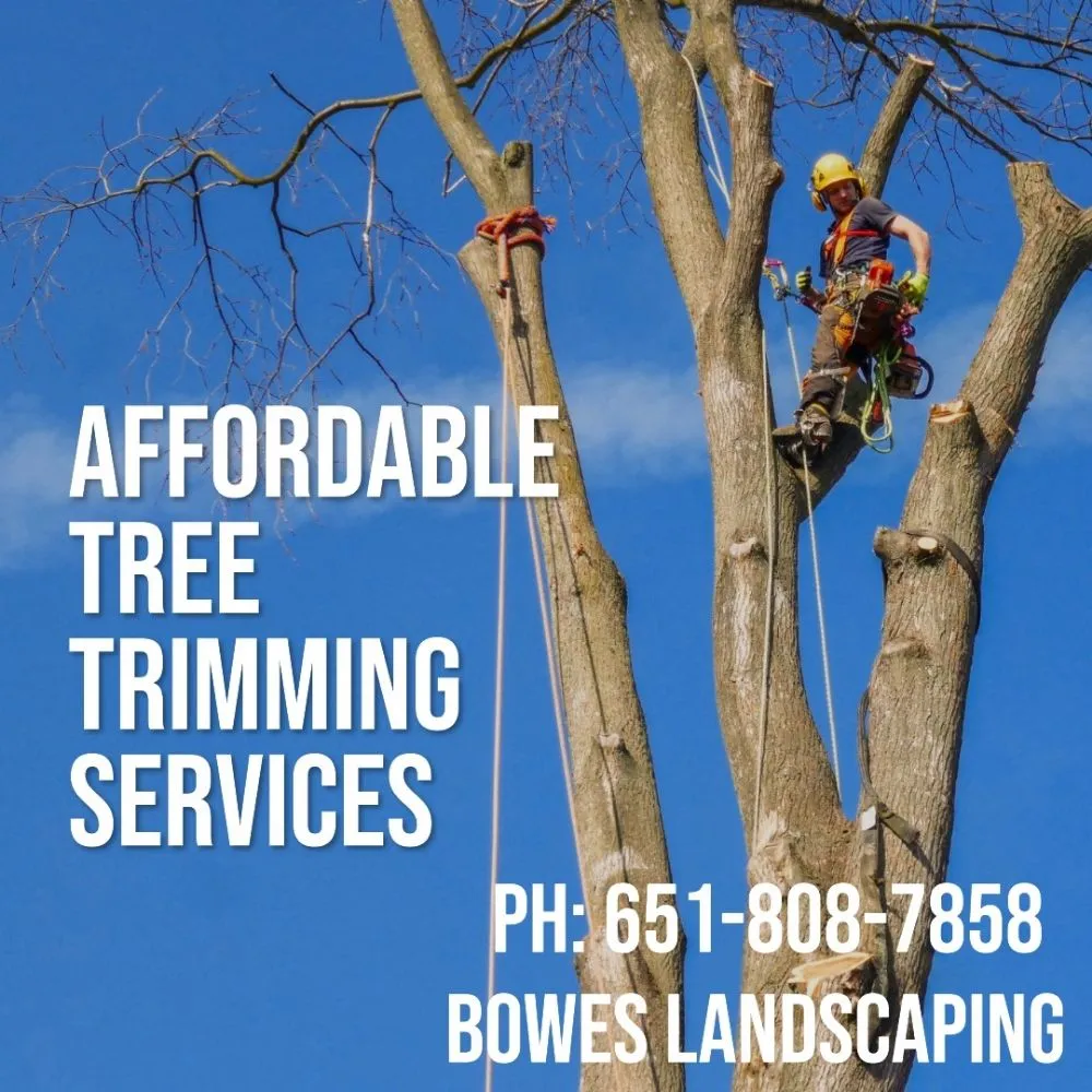 Custom landscaping services in Saint Paul, MN - Bowes Landscaping and Snow Removal Services