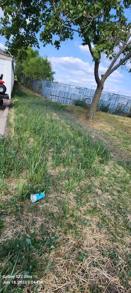 Professional landscape installation in Saint Paul, MN by Bowes Landscaping and Snow Removal Services