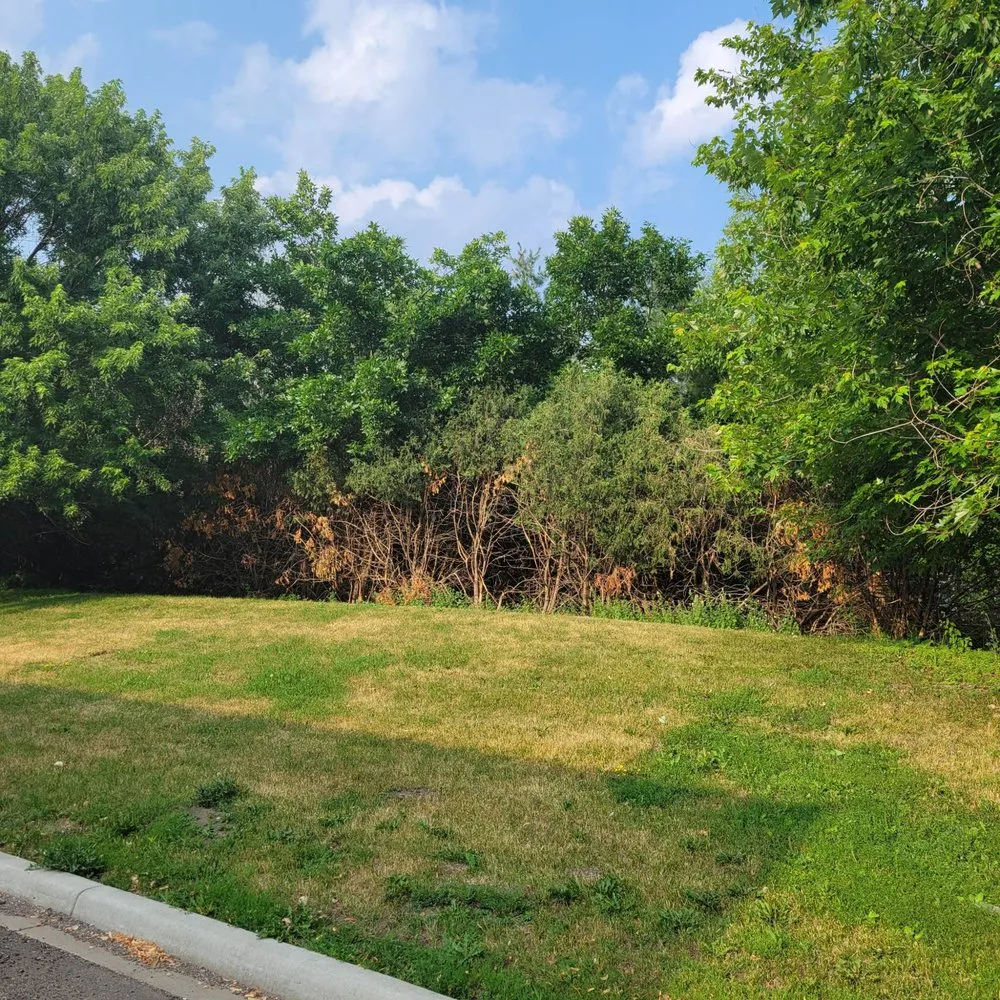 Professional lawn mowing service in Saint Paul, MN - Bowes Landscaping and Snow Removal Services