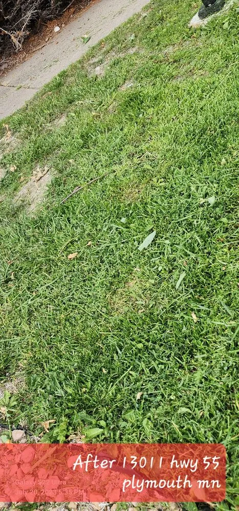 Reliable landscape design experts serving Saint Paul, MN - Bowes Landscaping and Snow Removal Services