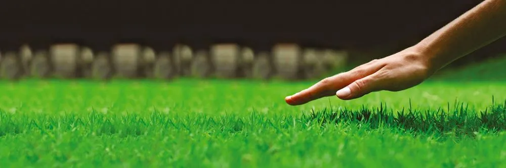 Custom landscaping services in Navarre, FL - Bowien's Lawn Care & Home Improvement