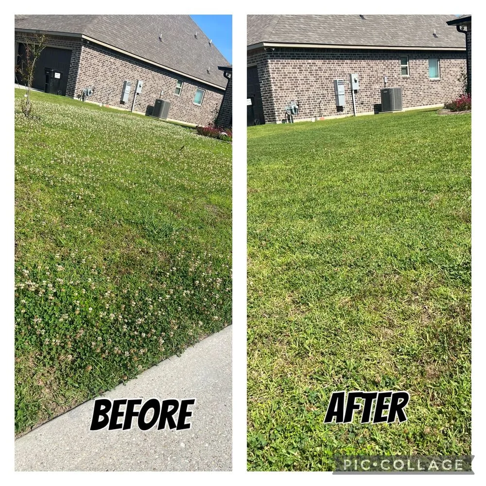 Affordable yard cleanup service experts serving Holden, LA - Bowling Farm