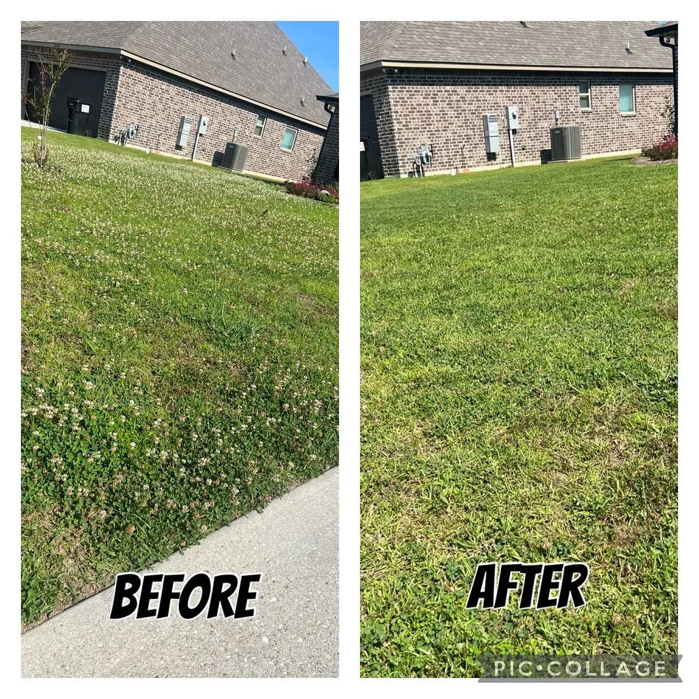 Local landscaping services for homes in Holden, LA by Bowling Farm