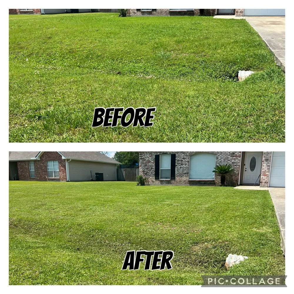 Expert landscape design for year-round maintenance across Holden, LA - Bowling Farm
