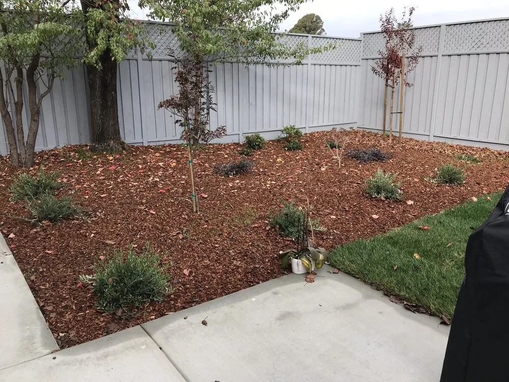 Top-rated outdoor landscaping for beautiful yards across Windsor, CA - Bowman and Son Landscaping