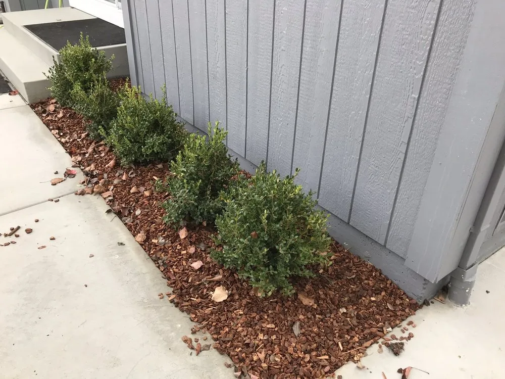Expert residential landscaping in Windsor, CA - Bowman and Son Landscaping