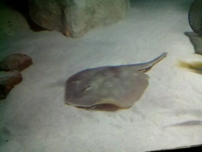 Trusted lawn mowing service near you across New Orleans, LA - Bowman Landscaping