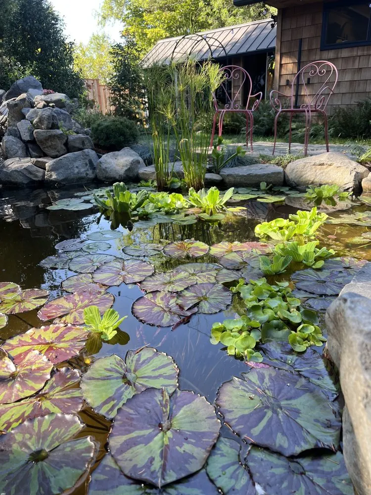 Reliable landscape design in New Orleans, LA - Bowman Landscaping