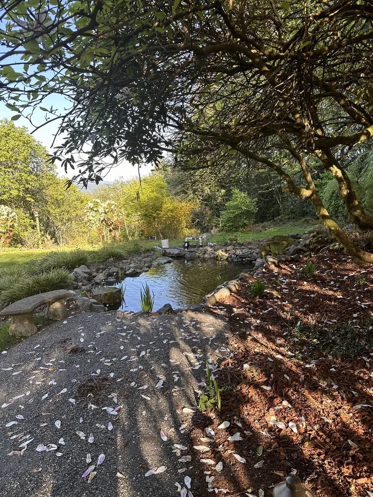 Custom lawn care service experts serving New Orleans, LA - Bowman Landscaping