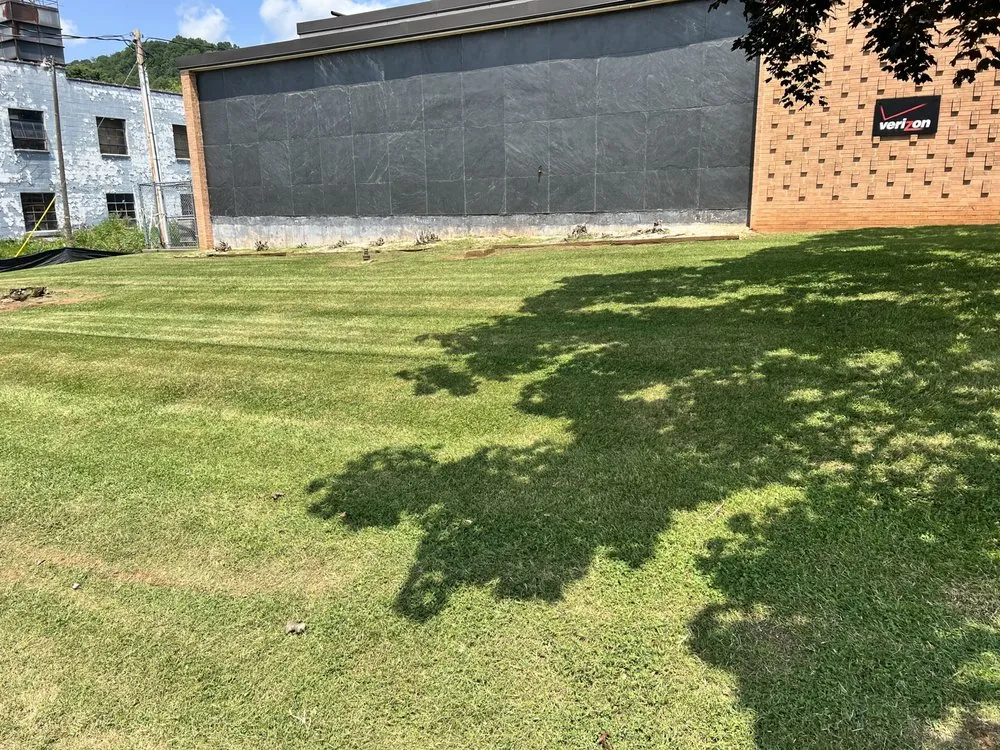 Reliable yard maintenance in Lebanon, VA by Bowman Mowing & More