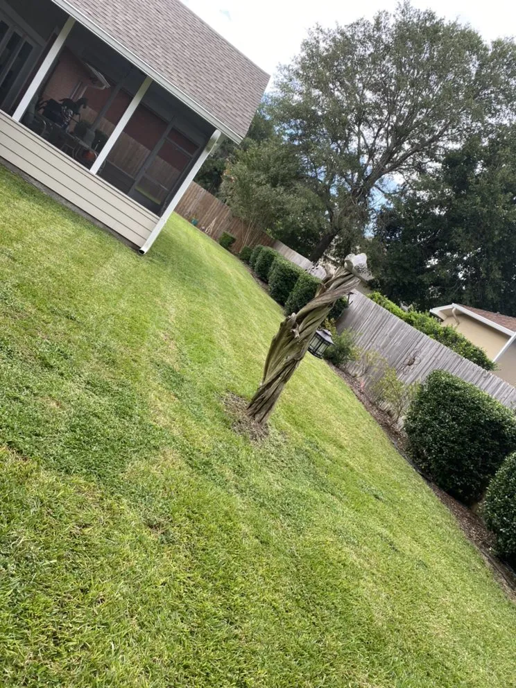 Reliable garden landscaping for year-round maintenance across Loxley, AL - Bowman Pressure Washing and Landscape